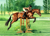 Hunter, Equine Art - The Oxer